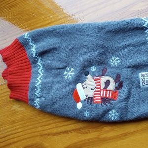 Cesar Milan Dog sweater